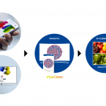Samsung-SeeColors-App-for-QLED-TV-2.png