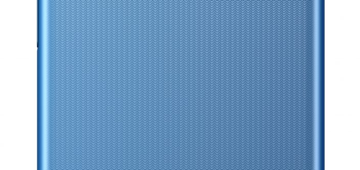 SM_F22_Back_Blue_V01.jpg
