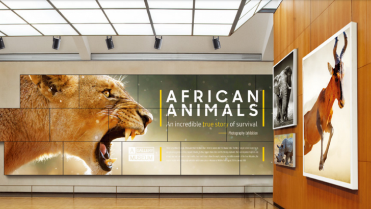 Videowall-museu-e1621527903618.png