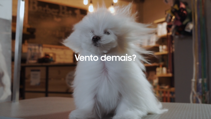 SSG-AC-WIND-MUSIC-FILME-08_Cachorro_AdStream_30s.00_00_08_16.Still009-2.png