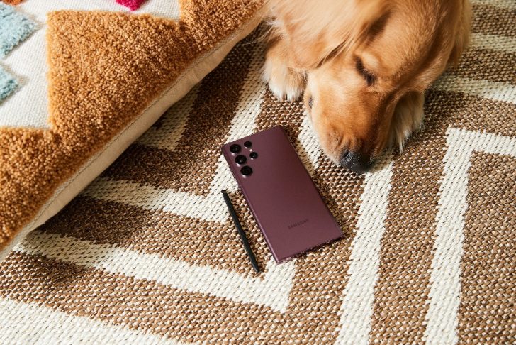Cão ao lado de um Galaxy S22 Ultra 5G
