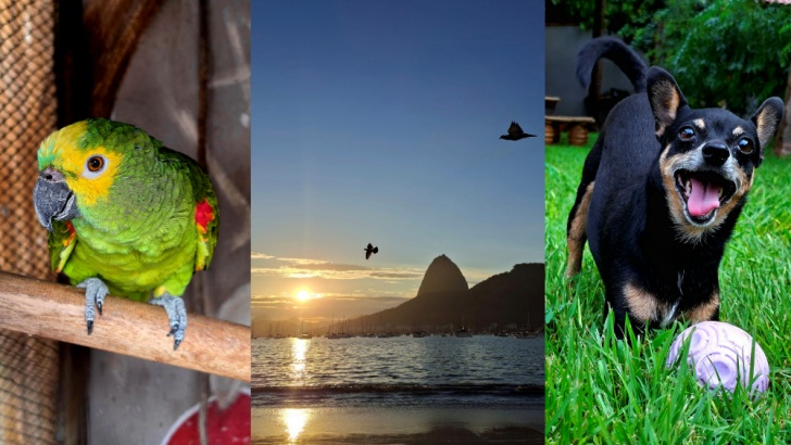 #FeitoComGalaxy: Jornalistas e criadores de conteúdo exploram o potencial criativo do novo Galaxy A57 5G