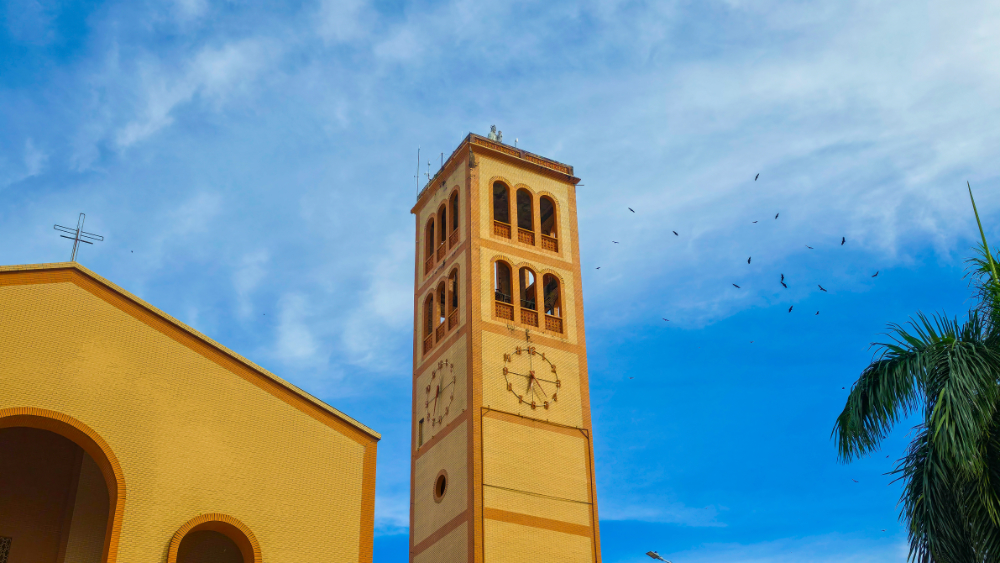 Torre da Catedral de Nossa Senhora do Carmo vista de baixo para cima, destacando o relógio e os arcos da construção. O céu azul com nuvens e aves em voo compõem o cenário.