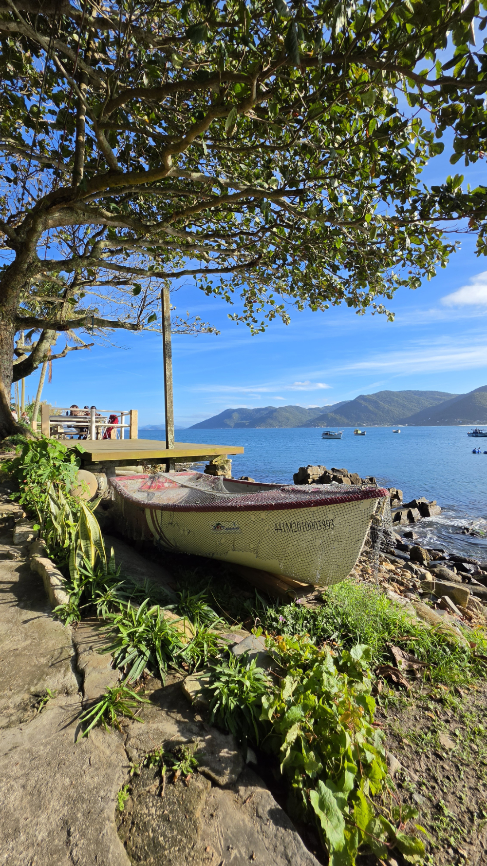 Barco de pesca apoiado na margem rochosa de uma praia, sob a sombra de uma grande árvore de copa ampla. Ao fundo, o mar calmo, pequenas embarcações e montanhas compõem a paisagem do Pântano do Sul, em Florianópolis, sob céu azul com poucas nuvens.