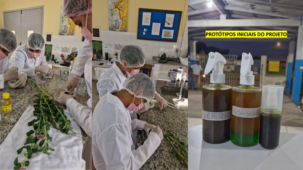 Mosaico com três fotos mostra alunos manejando planta em laboratório. A última imagem mostra protótipos de bioincetidas desenvolvidos