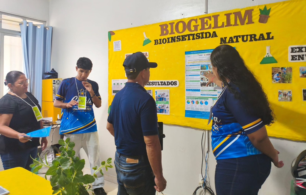 Alunos e professores trabalham juntos em sala de aula para desenvolver projeto científico