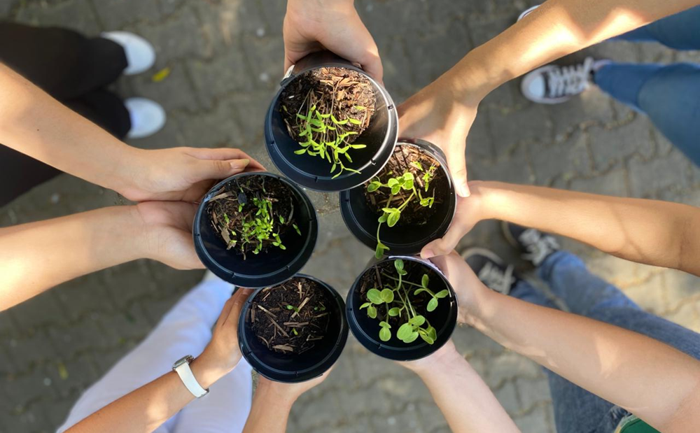 Vasos com mudas de plantas vistas de cima nas mãos de jovens estudantes do Ceará
