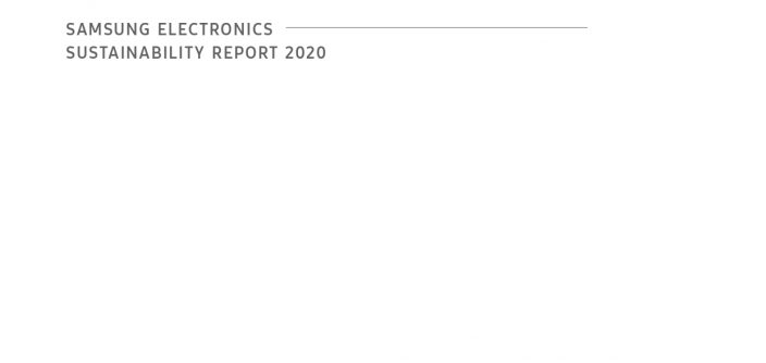 vf-Sustainability_report_2020_en_new_page-0001.jpg