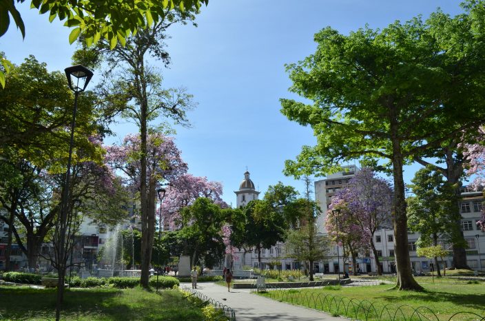 La ‘capital musical de Colombia’ se llena de los acordes de la ...