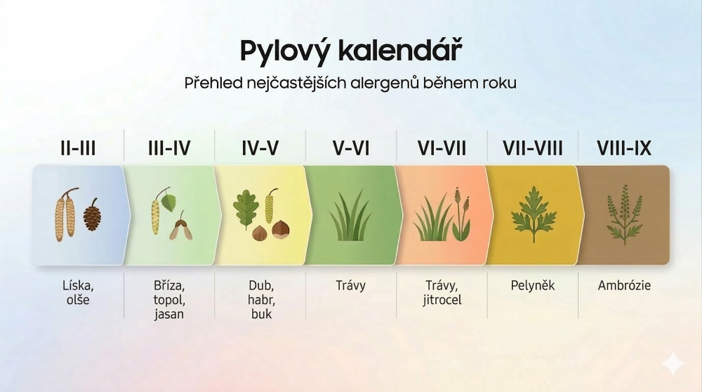 Gemini_Generated_Image_p32d0hp32d0hp32d