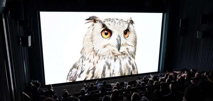 Cinema-LED-Launch_7.jpg