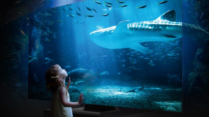 075266_Infinity_Screen_aquarium.jpg