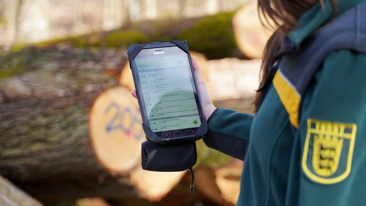 Samsung-digitalisierter-Wald-6.jpg