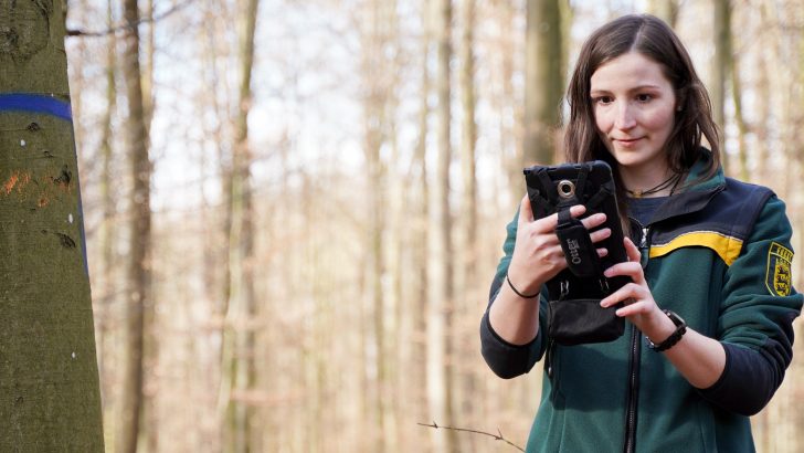 Samsung-digitalisierter-Wald-_Ausschnitt.jpg
