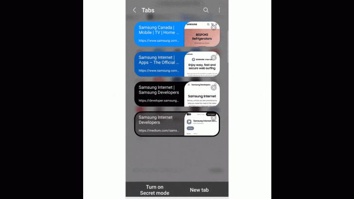 Samsung_Internet_17.0_main3F.gif
