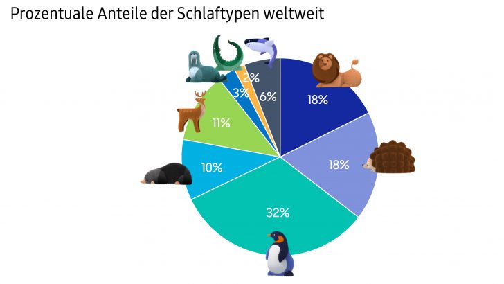 Abbildung-Schlaftypen-prozentual_neu.jpg