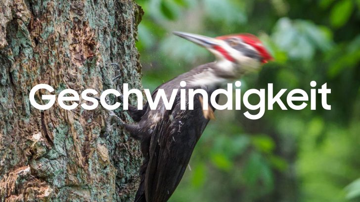 Samsung_Listicle_microSD-PRO-Ultimate_Geschwindigkeit_1920px.jpg