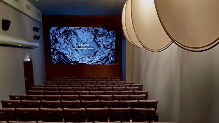 ONYX-Lamm-Lichtspiele_2.jpg