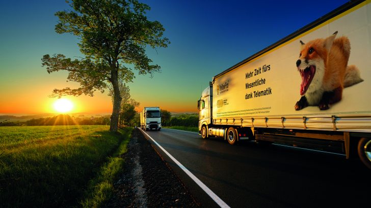 YellowFox_LKW_©MilosMuller.jpg