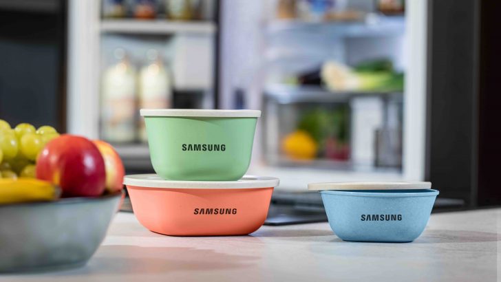 Samsung_Picknick_1.jpg
