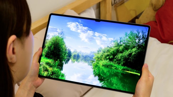 Samsung-Mobile-Galaxy-Tab-S10-Ultra-Tablet-User-Guide_main13_F.jpg