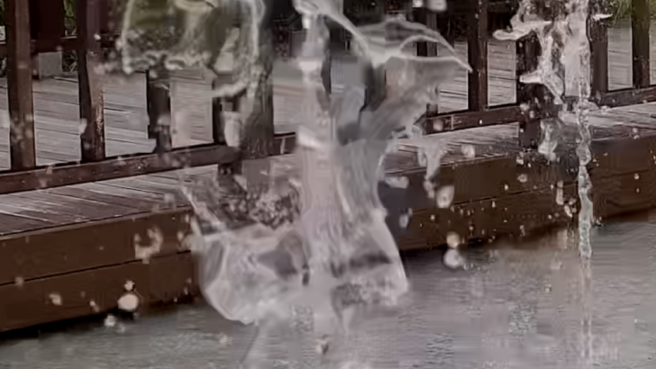 1.-Fountain_HEVC_10th.png
