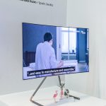Flamingo_IFA2017.jpg