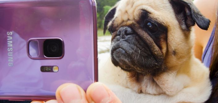 DodoLoves_Samsung.png