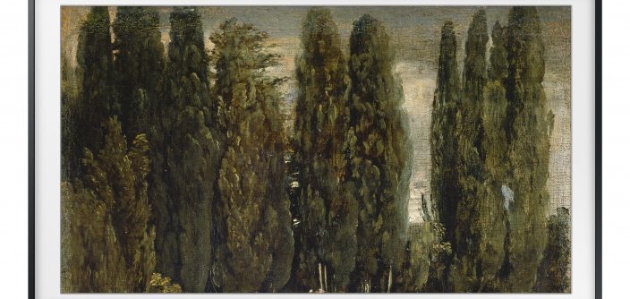 Jardin-min.jpg