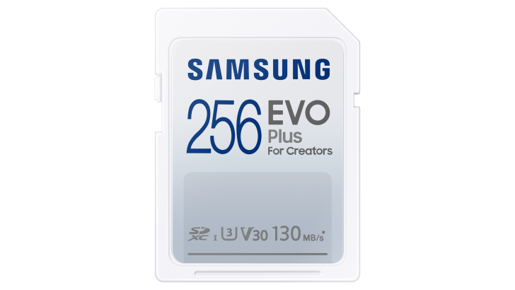 SDEVO-Plus-256GB.png