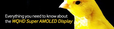 Everything you need to know about the WQHD Super AMOLED Display