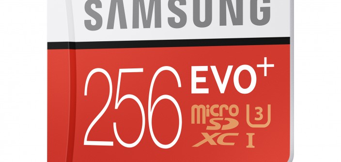 jpgEVO-Plus-256GB-microSD-card_02.jpg