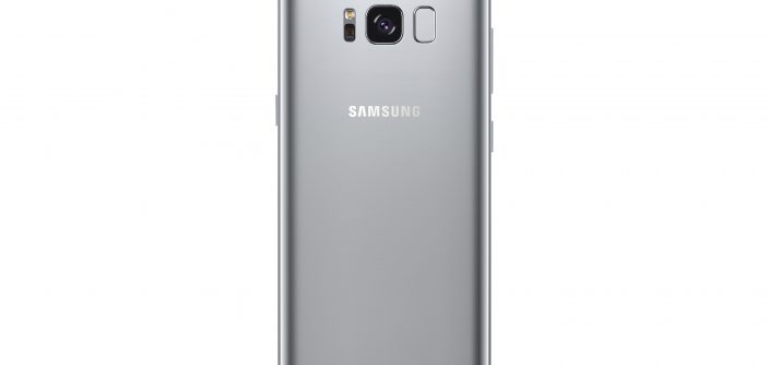 11_GalaxyS8_Back_Silver.jpg