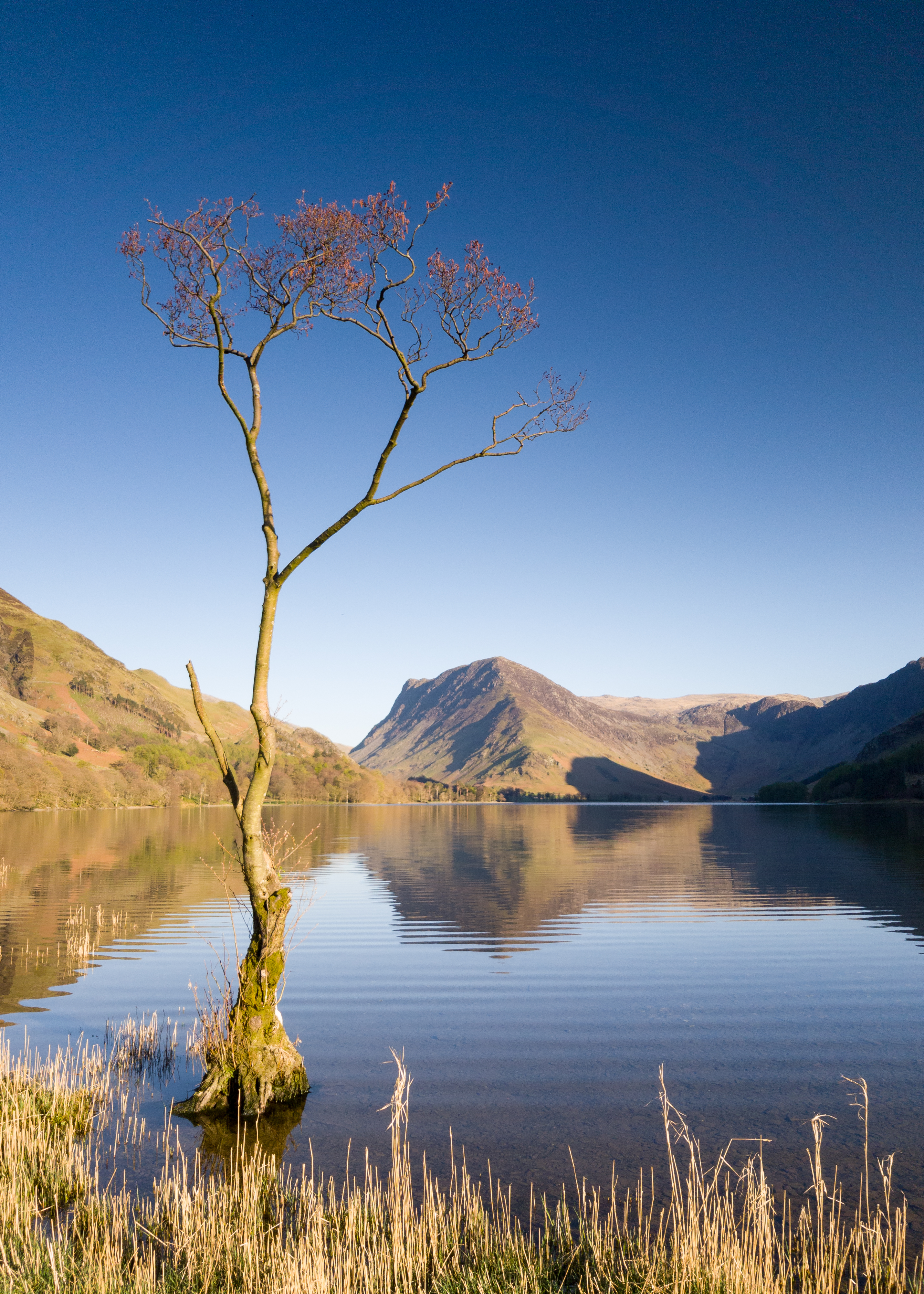 Buttermere_Grest-British-Views_S8.jpg