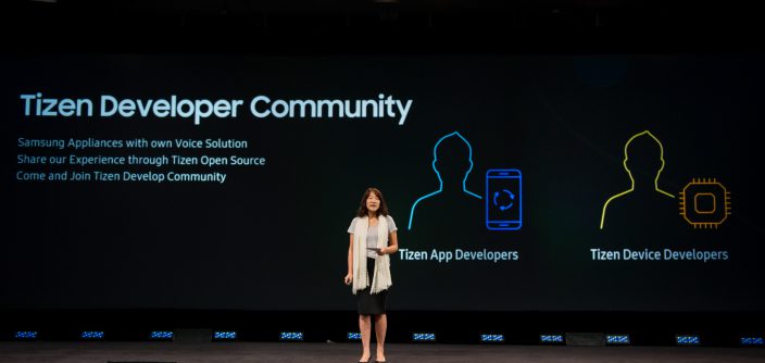 Tizen-Developer-Conference-2017_6.jpg