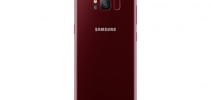 Galaxy-S8_002_Back_Burgundy.jpg