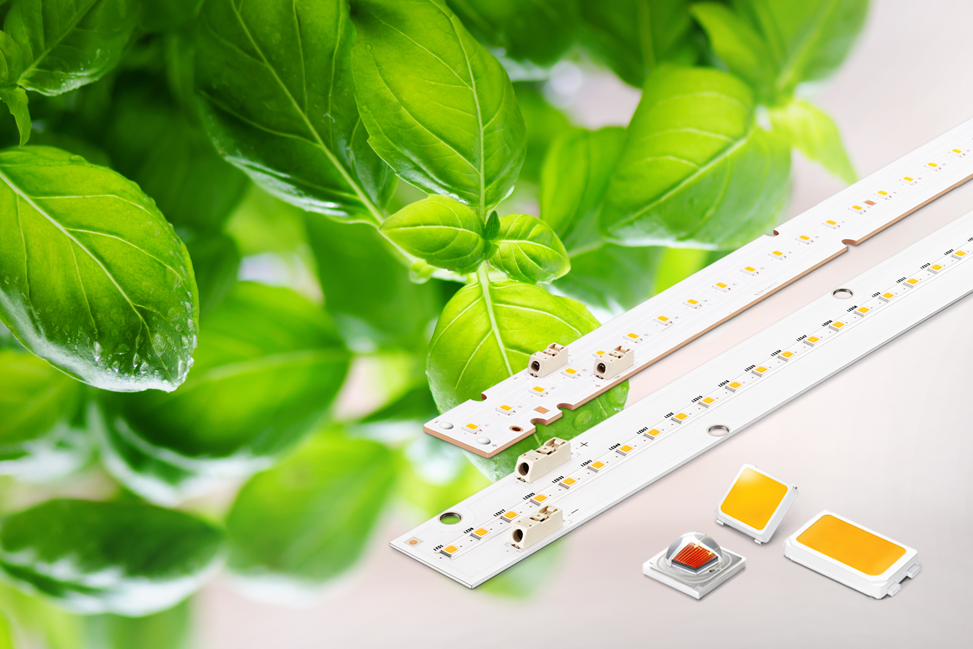 Image-02-Samsung-Horticulture-LEDs_LM301B-LM561C-LH351B-Red-H-influx-Q-series.jpg