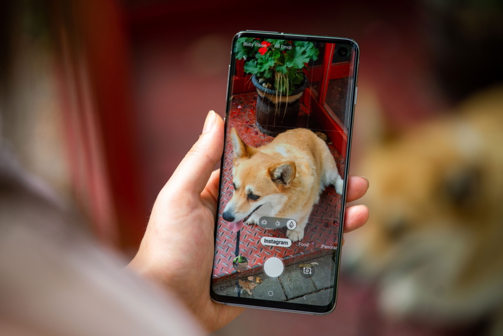 Samsung Galaxy S10: What Each Camera Does, and What Photos Look Like