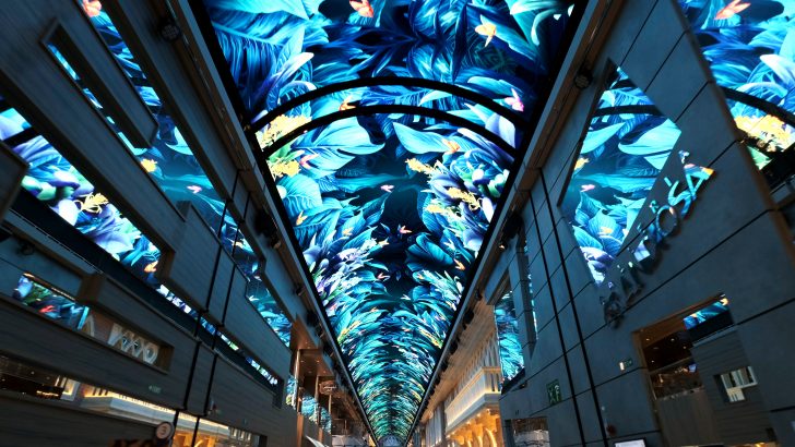 Samsung-LED-Display-on-MSC-Grandiosa_5.jpg