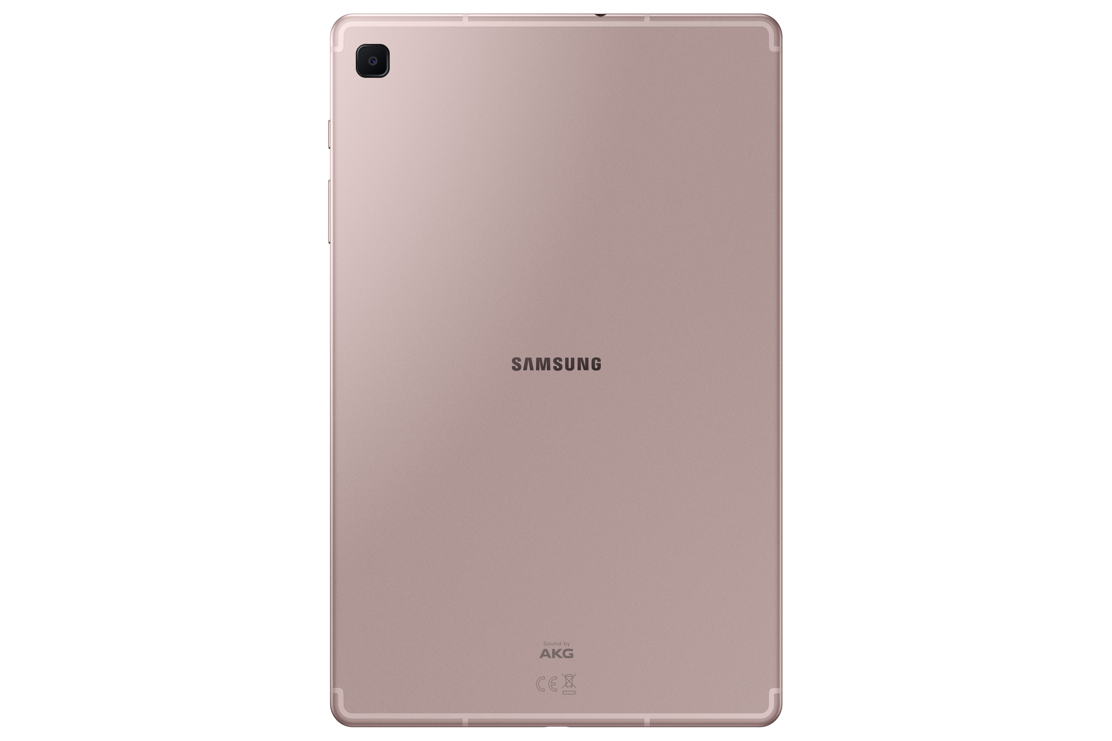 GalaxyTabS6Lite_download2.jpg