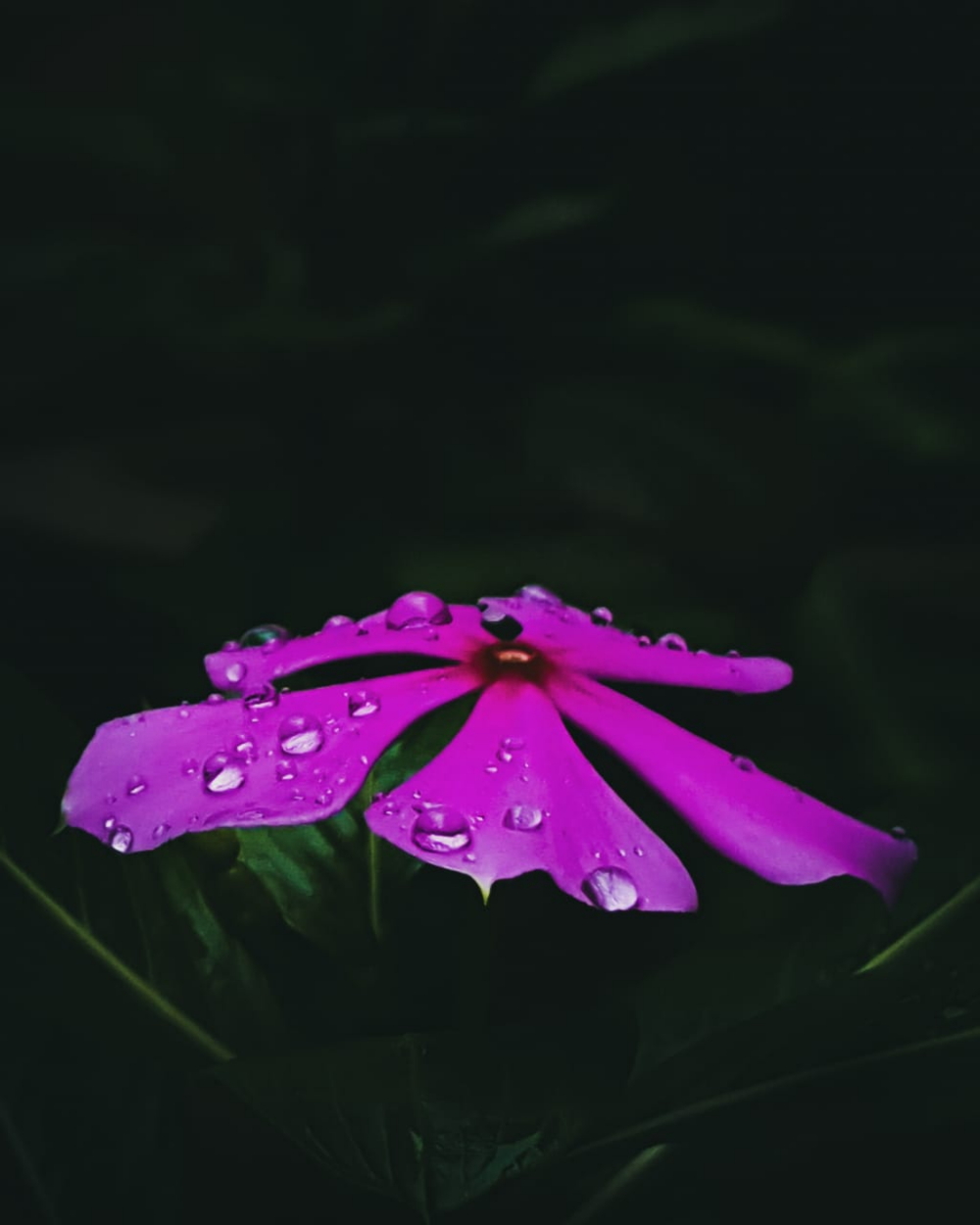 Capturing Different Hues of Monsoon #withGalaxy