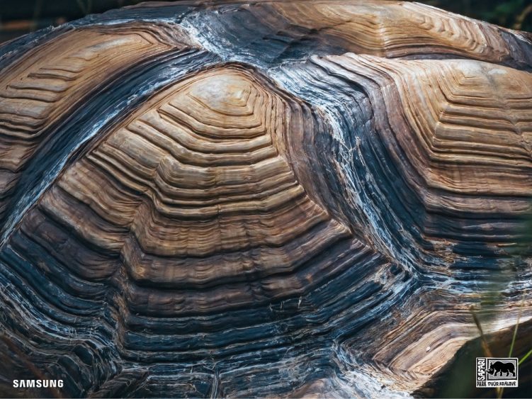 Around the World – Samsung Global Newsroom