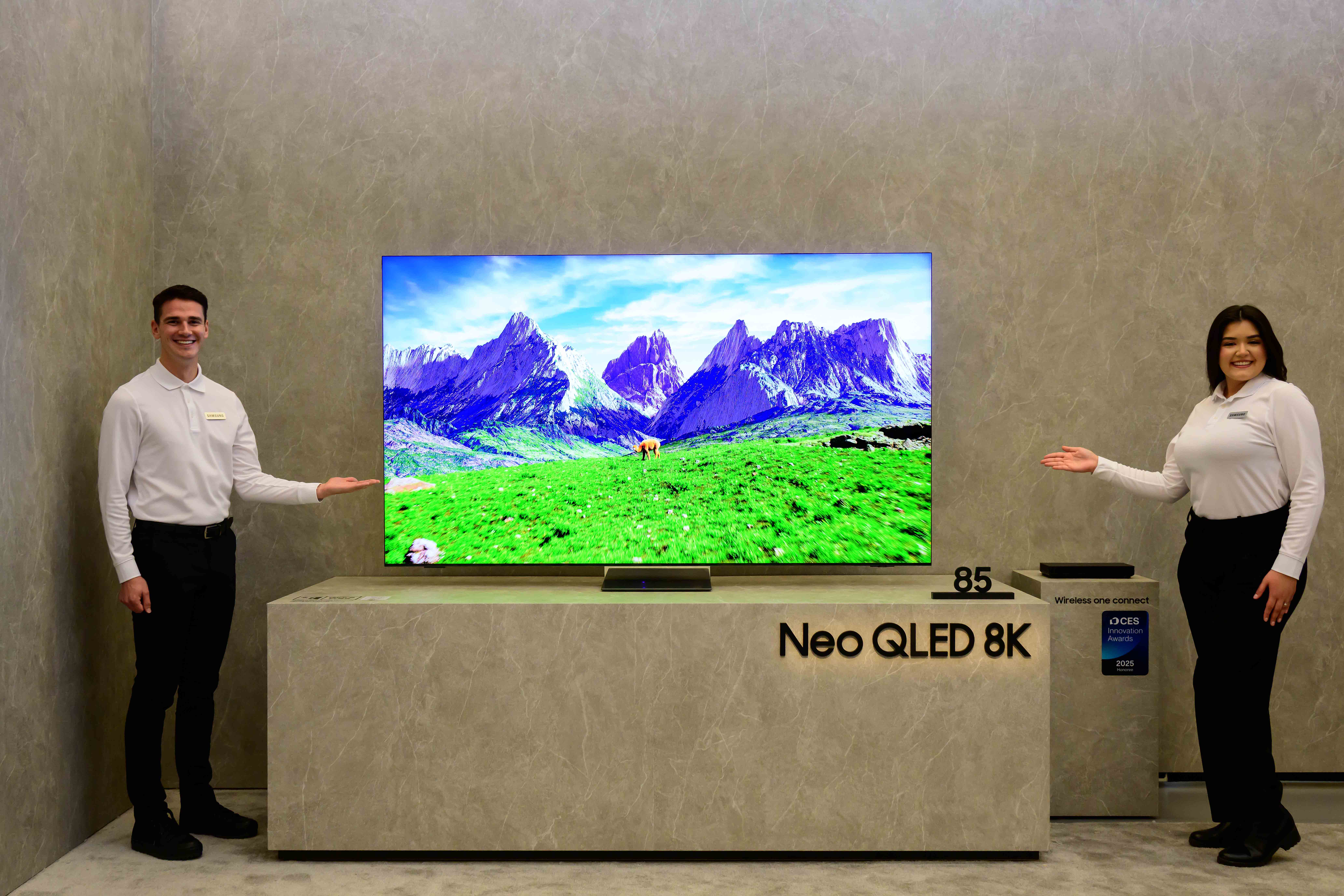 Samsung-TVs-and-Displays-CES-2025-Samsung-Vision-AI-and-Display-Lineups_dl2.jpg