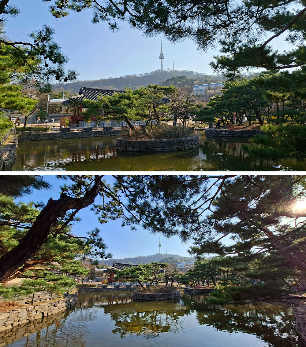 (From top to bottom) Photos taken at 1x and 0.6x zoom on Galaxy A57 5G