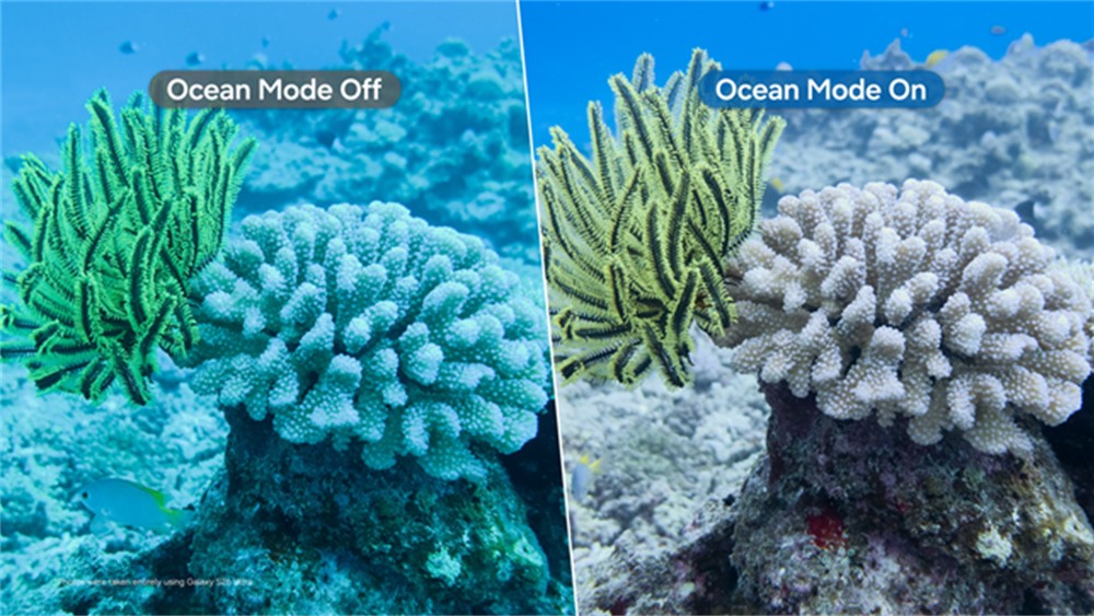 Side-by-side comparison of coral imagery captured on a Galaxy mobile phone with standard camera settings (left) and Ocean mode (right), highlighting superior color correction and less motion blur underwater.