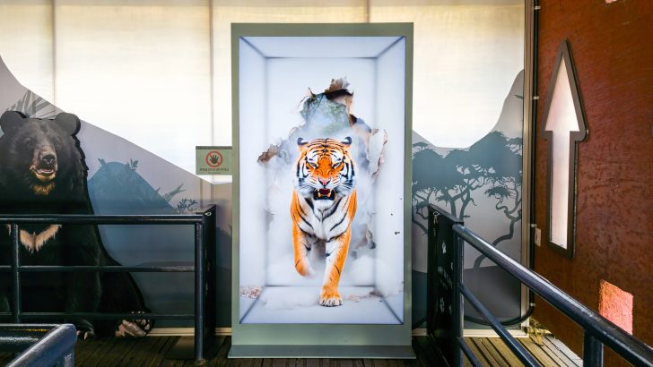 Samsung-TVs-and-Displays-Spatial-Signage-Safari-World-The-Wild-Everland_dl1.jpg