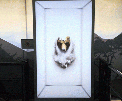 Samsung-TVs-and-Displays-Spatial-Signage-Safari-World-The-Wild-Everland_dl2.gif