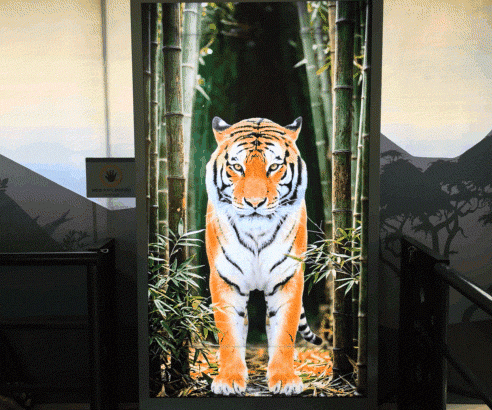 Samsung-TVs-and-Displays-Spatial-Signage-Safari-World-The-Wild-Everland_dl3.gif