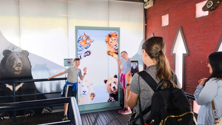 Samsung-TVs-and-Displays-Spatial-Signage-Safari-World-The-Wild-Everland_dl7.jpg