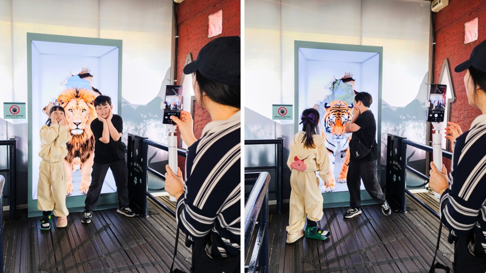 Visitors take photos with the animals on Spatial Signage, turning time spent waiting into part of the overall experience.